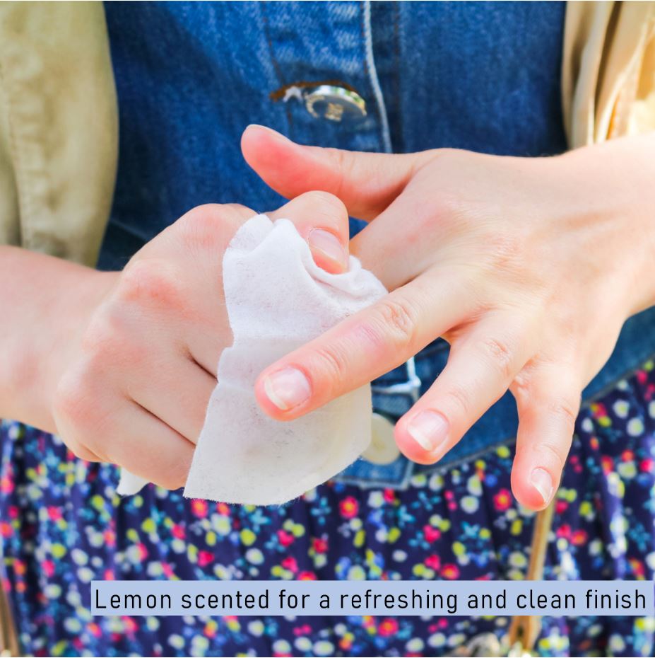 Diamond Wipes BBQ Pre-Moistened Hand Wipes Individual Wrapped